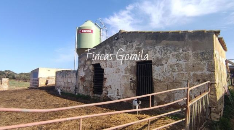 Islas Baleares - Ciutadella - 1429327m2