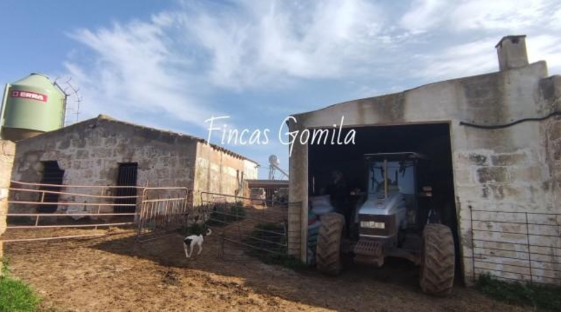 Islas Baleares - Ciutadella - 1429327m2