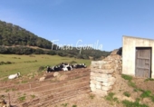 Casa de camp amb terreny en venda a la España, Ciutadella de Menorca, ref.: TR143060 foto
