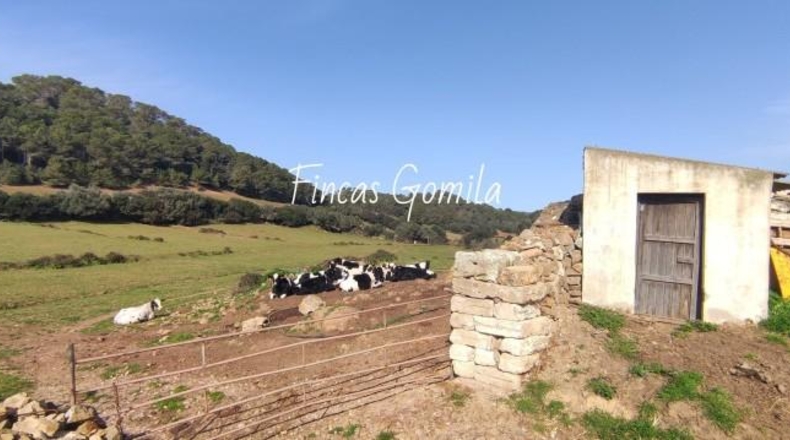 Islas Baleares - Ciutadella - 1429327m2
