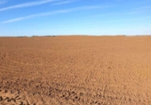 Non-developable land for sale on España, Badajoz, ref: TR317645 photo