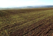 Non-developable land for sale on España, Badajoz, ref: TR317645 photo