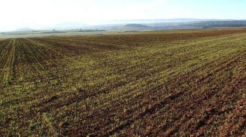 Badajoz - Badajoz - 3140000m2