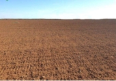 Non-developable land for sale on España, Badajoz, ref: TR317645 photo