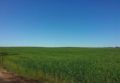 Non-developable land for sale on España, Badajoz, ref: TR317645 photo
