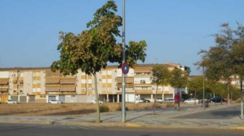 Jaén - Andújar - 18553m2