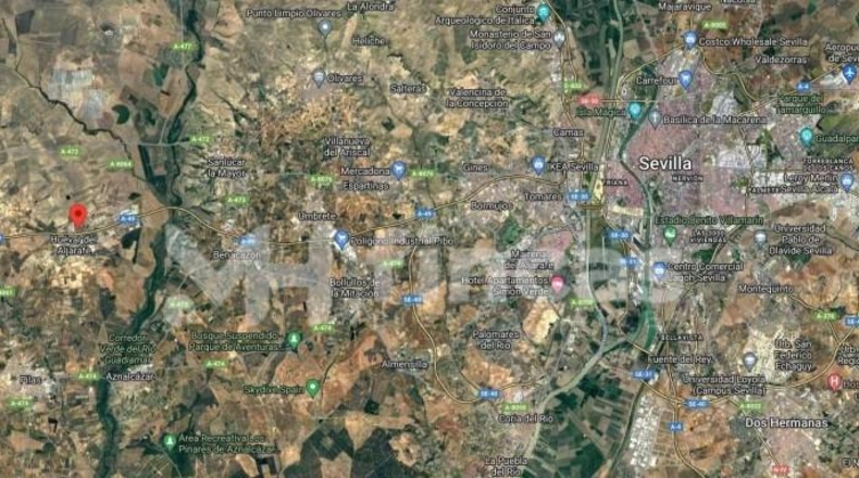 Sevilla - Huévar del Aljarafe - 160000m2