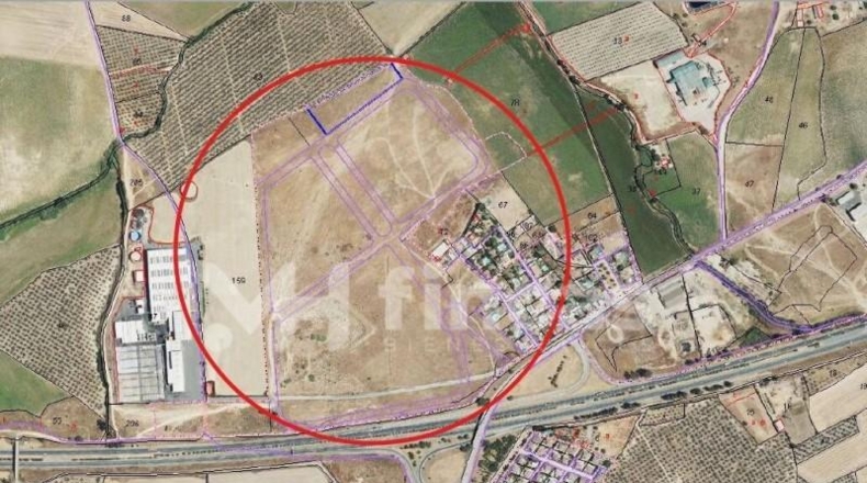 Sevilla - Huévar del Aljarafe - 160000m2