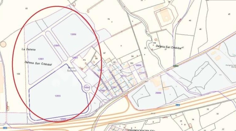 Sevilla - Huévar del Aljarafe - 160000m2