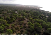 Casa con terreno en venta en la España, Llucmajor, ref: TR300428 foto