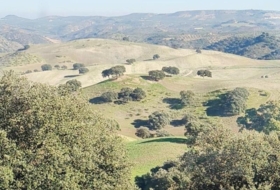 Villanueva de San Juan 472&nbsp;m²