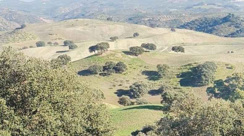 Sevilla - Morón de la Frontera - 472m2