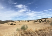 Detached villa with land for sale on España, Villanueva de San Juan, ref: TR172772 photo
