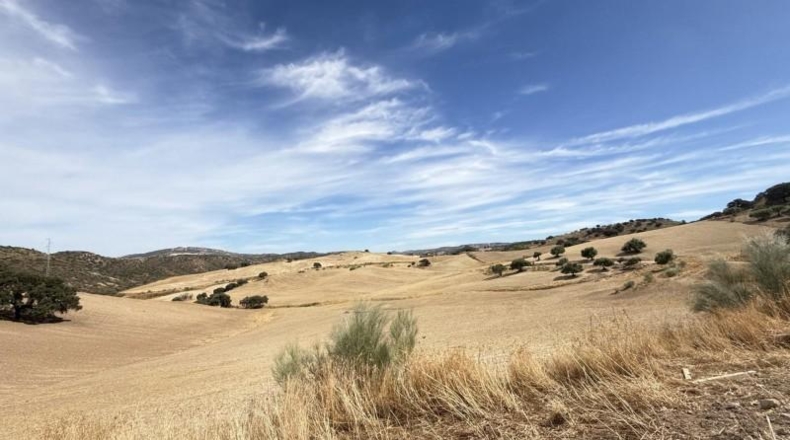 Sevilla - Morón de la Frontera - 472m2
