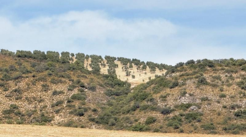 Sevilla - Morón de la Frontera - 472m2