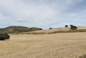 Villanueva de San Juan 472&nbsp;m²