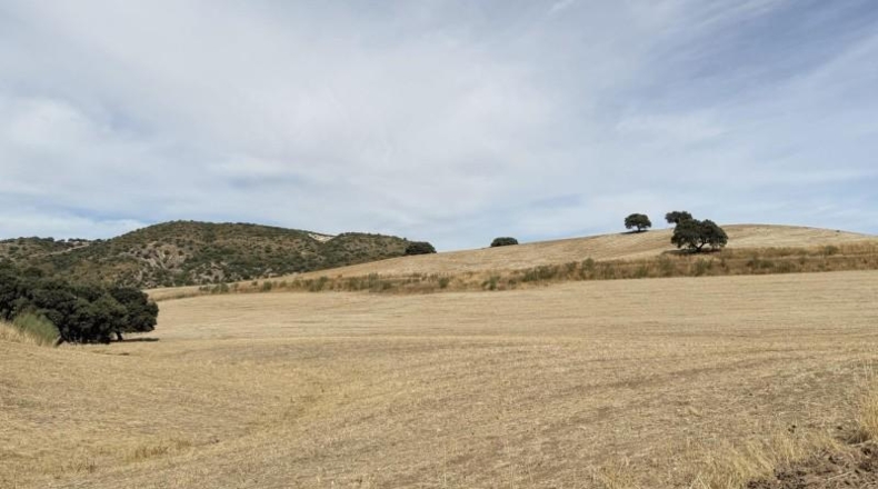 Sevilla - Morón de la Frontera - 472m2