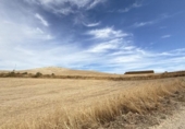 Detached villa with land for sale on España, Villanueva de San Juan, ref: TR172772 photo