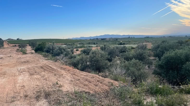 Мурсия - Alhama de Murcia - 17400m2