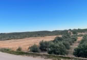 Land suitable for development for sale on Camino Fuente Aledo, Alhama de Murcia, ref: TR403149 photo