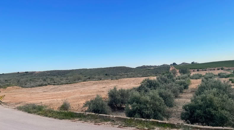 Мурсия - Alhama de Murcia - 17400m2