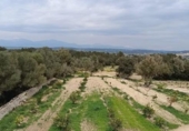 Chalet independiente con terreno en venta en la España, Montuïri, ref: TR331919 foto