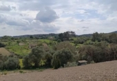 Chalet independiente con terreno en venta en la España, Montuïri, ref: TR331919 foto