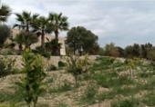 Chalet independiente con terreno en venta en la España, Montuïri, ref: TR331919 foto
