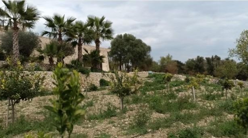 Islas Baleares - Montuïri - 317000m2