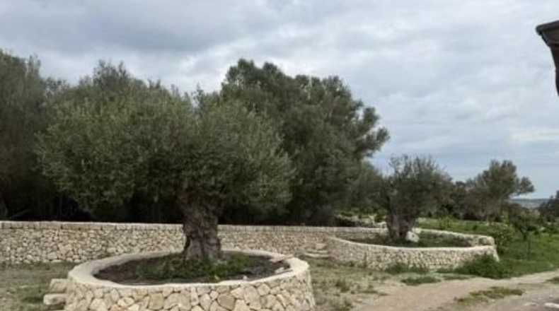 Islas Baleares - Montuïri - 317000m2