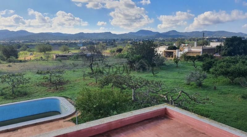 Balearic Islands - San Antonio Abad - 17000m2
