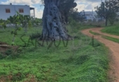 Загородный дом с участком на продажу в городе Sant Antoni de Portmany Фото