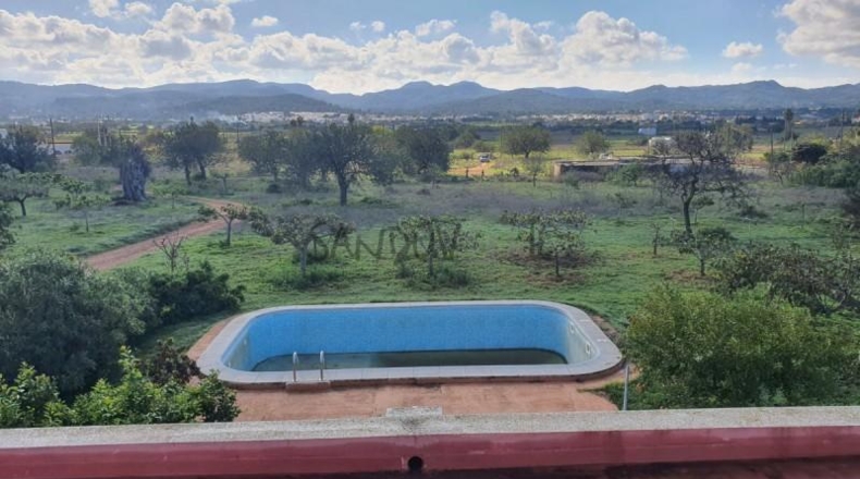 Balearic Islands - San Antonio Abad - 17000m2