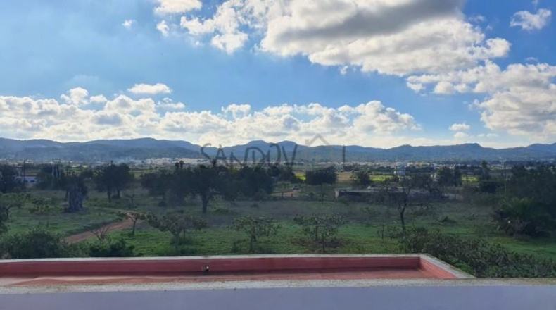 Balearic Islands - San Antonio Abad - 17000m2