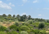 Parcel·la urbanitzable en venda a la España, Casares, ref.: TR264856 foto