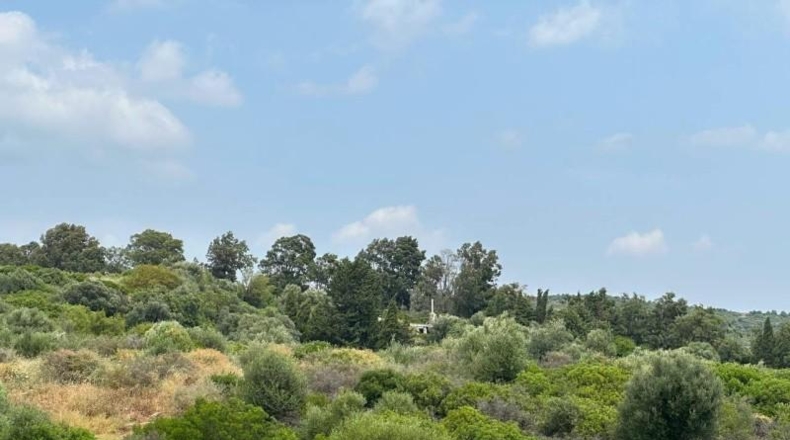 Málaga - Estepona - 140000m2