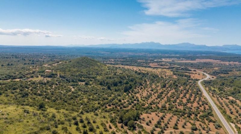 Illes Balears - Artá - 5442649m2