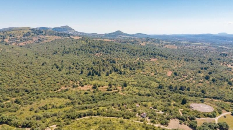 Illes Balears - Artá - 5442649m2