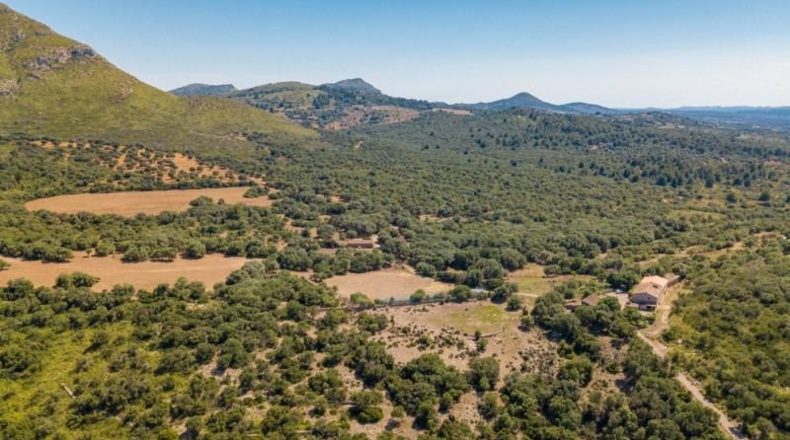 Illes Balears - Artá - 5442649m2