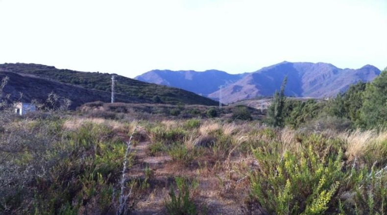Málaga - Casares - 156293m2