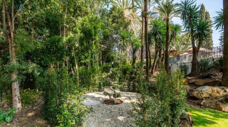 Málaga - Marbella - 2563m2