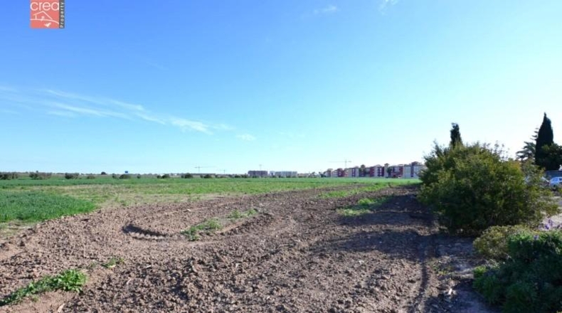 Murcia - Los Alcázares - 159405m2