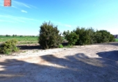Casa amb terreny en venda a la España, Los Alcázares, ref.: TR281600 foto