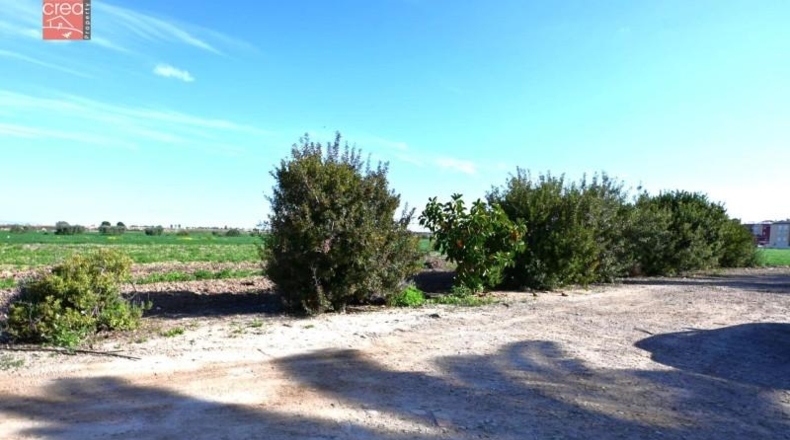 Murcia - Los Alcázares - 159405m2