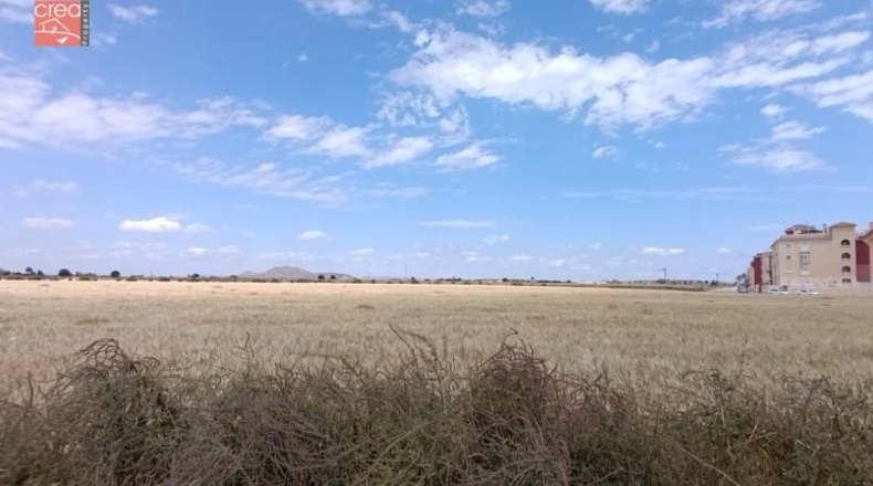 Murcia - Los Alcázares - 159405m2