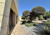 Xalet independent amb terreny en venda a la España, Pozuelo de Alarcón, ref.: TR341492 foto
