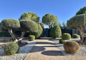 Xalet independent amb terreny en venda a la España, Pozuelo de Alarcón, ref.: TR341492 foto