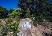 Casa de camp amb terreny en venda a la España, Colmenarejo, ref.: TR160717 foto