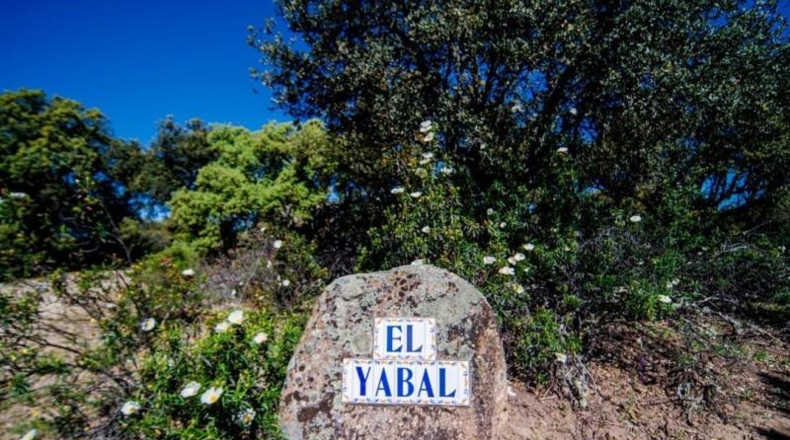 Comunidad de Madrid - Colmenarejo - 160203m2