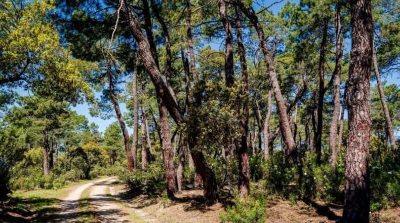 Comunidad de Madrid - Colmenarejo - 160203m2